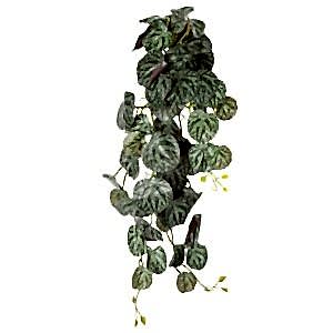 Yapay Bitki, Salon Sarmaşığı, Monstera Dubia, Yeşil - 65 cm