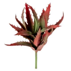 Yapay Eçeverya Sukulent Kaktüs, Bordo - 19 cm