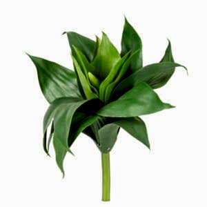Yapay Kaktüs Sukulent, Agave, Yeşil - 28 cm