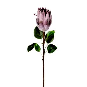 Yapay Çiçek, Protea Bitkisi, Mor - 67 cm