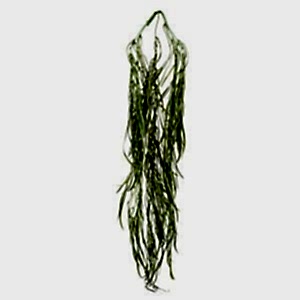 Yapay Söğüt Dalı Sarmaşığı, Yeşil - 110 cm