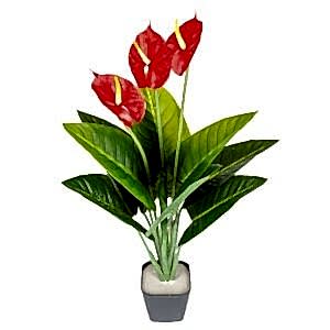 Yapay Antoryum-Flamingo Çiçeği, Yeşil-Kırmızı - 10 Yaprak, 3 Çiçekli, 70 cm