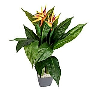 Yapay Starliçe, Çiçekli, Yeşil-Turuncu - 18 Yaprak, 2 Çiçekli, 80 cm