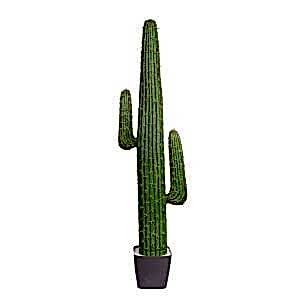 Yapay Kaktüs, Saksılı - 142 cm