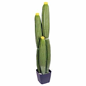 Yapay Kaktüs, Saksılı, Sarı Çiçekli - 103 cm