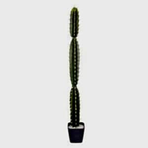 Yapay Kaktüs, Saksılı - 113 cm