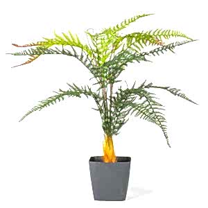 Saksıda Yapay Eğrelti Otu - 70 cm