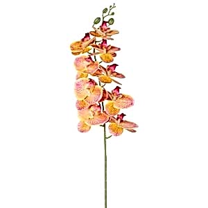 Yapay Çiçek, Orkide, Gerçek Dokunuş, Pembe-Sarı - 95 cm