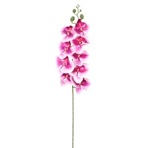 Yapay Çiçek, Orkide, Gerçek Dokunuş, Fuşya-Beyaz - 95 cm