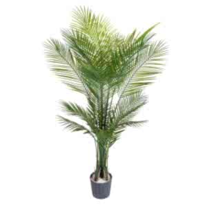 Yapay Palmiye Ağacı, Dış Mekan - UV Korumalı, 17 Yaprak, 150 cm