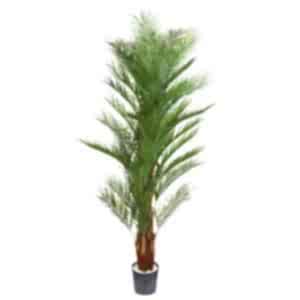 Yapay Palmiye Ağacı - 190 cm