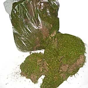 Kuru Bitki, Yosun - 1 Kg Paket ±