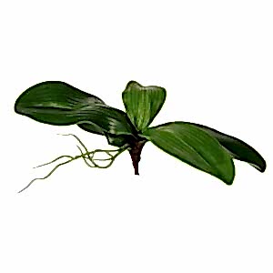 Yapay Bitki, Orkide Yaprağı, Yeşil - 23 cm