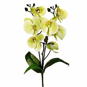Yapay Çiçek, Orkide, Gerçek Dokunuş, Yeşil - 45 cm