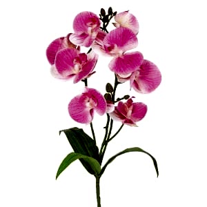 Yapay Çiçek, Orkide, Gerçek Dokunuş, Pembe - 45 cm