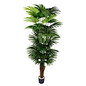 Yapay Fan Palmiye Gerçek Dokulu Yeşil 220 Cm.