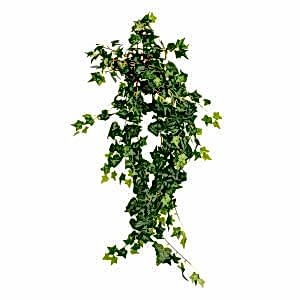 Yapay Bitki  Sarmaşık Yeşil 100 Cm.