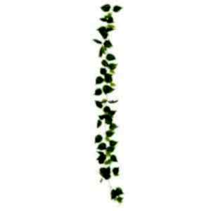 Yapay Sarmaşık Pothos Yeşil 79 Yaprak 210 Cm.