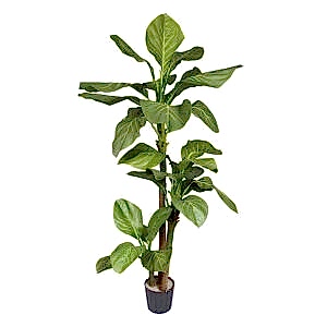 Yapay Antoryum Ağacı Yeşil 160 Cm.