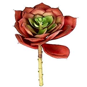 Yapay Kaktüs Sukulent, Kırmızı - 15 cm