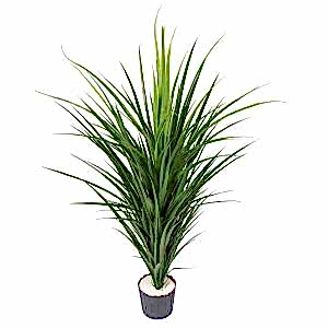 Yapay Yucca  Avize Ağacı Yeşil 120 Cm.