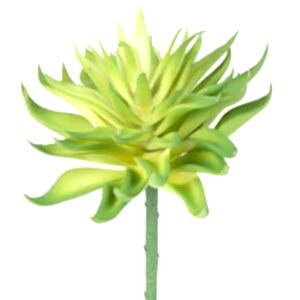 Yapay Kaktüs Sukulent, Yeşil - 14 cm