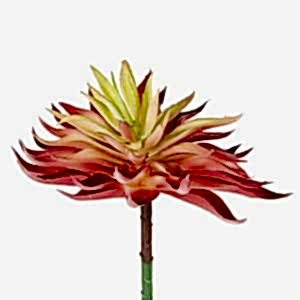 Yapay Kaktüs Sukulent, Kırmızı - 14 cm