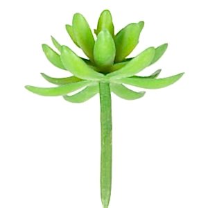 Yapay Kaktüs Sukulent, Yeşil - 11 cm