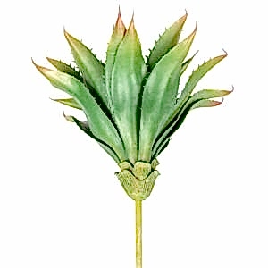 Yapay Kaktüs Sukulent, Yeşil - 30 cm