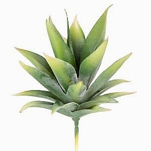 Yapay Kaktüs Sukulent, Yeşil - 14 cm