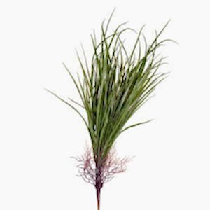 Yapay Saz Demet, Koyu Yeşil - 75 cm