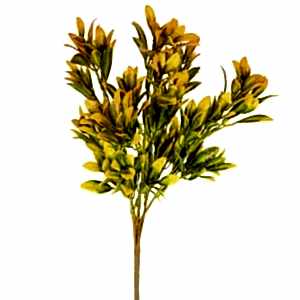 Yapay Bitki Demeti, Şimşir, Turuncu-Yeşil - 40 cm