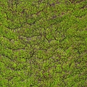 Yapay Yosun Duvar Dekoru, Tabaka, Kahve-Yeşil - 100x100 cm