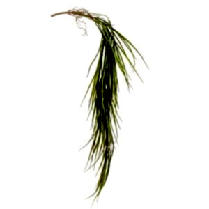 Yapay Saz Sarmaşık, Yeşil - 95 cm