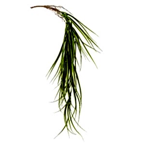 Yapay Saz Sarmaşık, Kızıl/Yeşil - 95 cm