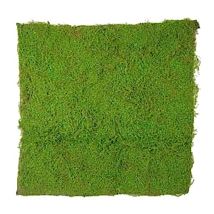 Yapay Yosun, Duvar Dekoru, Tabaka, Koyu Yeşil - 100x100 cm