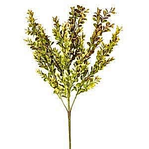 Yapay Bitki, Şimşir, Kahve/Yeşil - 55 cm