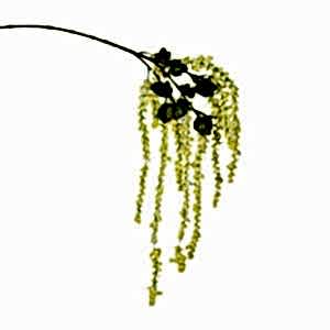 Yapay Gypso, Sarkan, Sarı - 105 cm