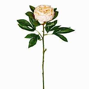 Yapay Çiçek, Şakayık, Krem - 77 cm