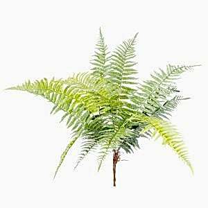 Yapay Bitki, Fujer/Eğrelti Otu, Yeşil - 75 cm