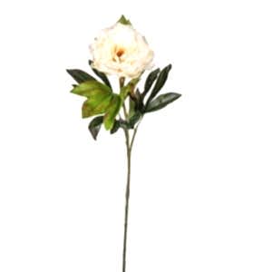 Yapay Çiçek, Şakayık, Krem - 77 cm