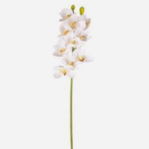 Yapay Çiçek, Orkide, Gerçek Dokunuş, Beyaz-Sarı - 75 cm