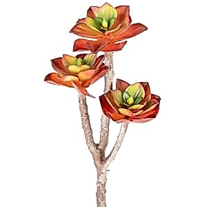 Yapay Kaktüs, Sukulent, Kırmızı - 35 cm
