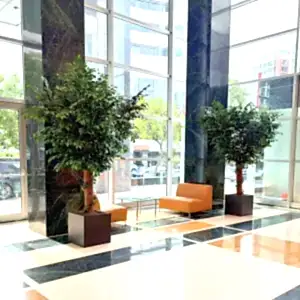 Prestijli Mekanlar İçin Kalıcı Yeşil Dokunuşlar