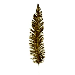 Yapay Çikas Dalı, Simli, Gold - 56 cm
