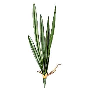Yapay Orkide Yaprağı, Yeşil - 56 cm