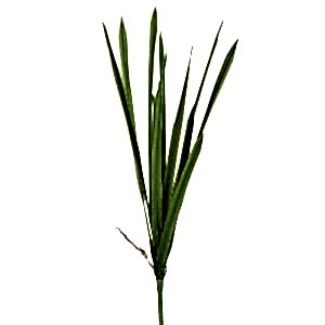 Yapay Orkide Yaprağı, Yeşil - 52 cm