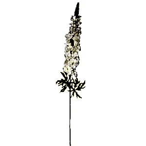 Yapay Delfinyum, Hezaren çiçeği, Beyaz - 105 cm