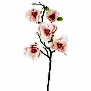 Yapay Manolya Dalı, Pembe - 75 cm