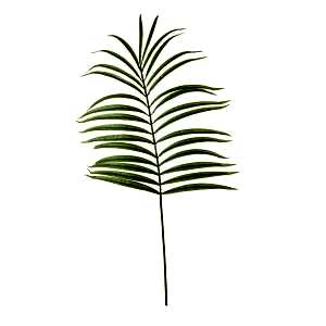 Yapay Palmiye Dalı - 130 cm